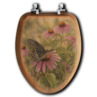 HOUSE & HOMEBODY CO. Elongated Toilet Seat and Lid