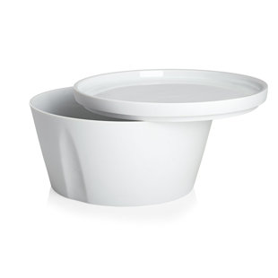 DEGRENNE PARIS L'econome By Starck Porcelain 43 oz. Salad Bowl