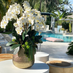 CFA DESIGN GROUP Arrangement in Pot
