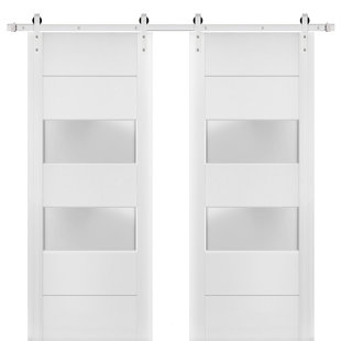 SARTODOORS Lucia Frosted Glass Barn White Doors with Installation Hardware Kit