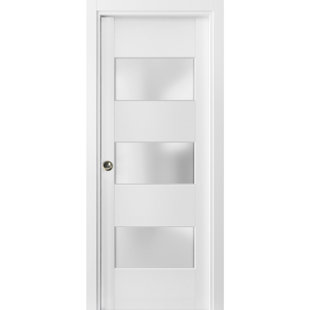 SARTODOORS Lucia Frosted Glass Wood Sliding Closet White Door