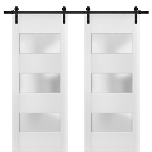 SARTODOORS Lucia Frosted Glass Barn White Doors with Installation Hardware Kit