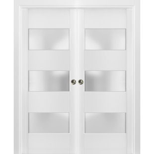 SARTODOORS Lucia Frosted Glass Wood Sliding Closet White Doors
