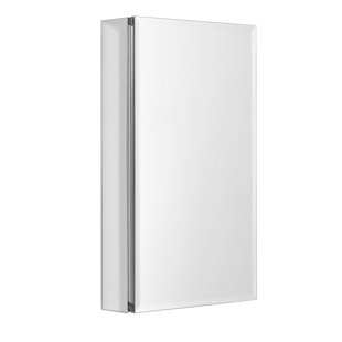 EBERN DESIGNS Fallyn Recessed or Surface Mount Frameless Medicine Cabinet with 3 Adjustable Shelves