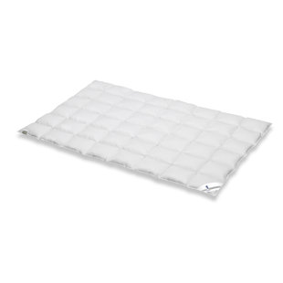 SPESSARTTRAUM Kassettendecke Platin G