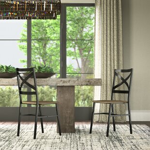 LAUREL FOUNDRY MODERN FARMHOUSE® Bailey Side Chair (Set of 2)