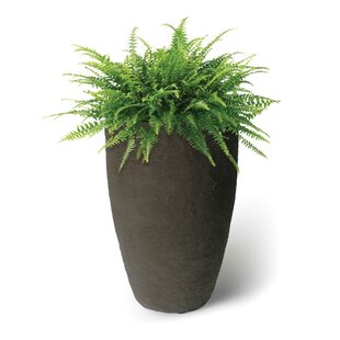 ALGREEN PRODUCTS Athena Self-Watering Clay Pot Planter