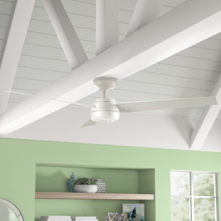HUNTER FAN 52" Cassius 3 - Blade Outdoor Standard Ceiling Fan with Pull Chain