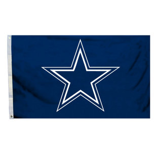 TEAM PRO-MARK Double Sided 36'' H x 60'' W Polyester House Flag