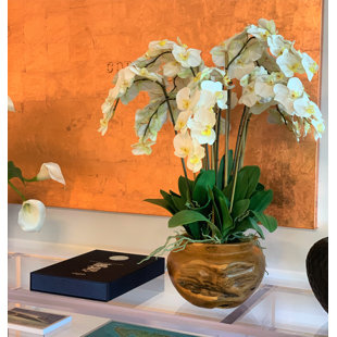 CFA DESIGN GROUP Silk Orchid Arrangement in Planter