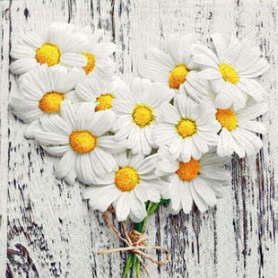 MDR TRADING INC. Daisy Basic Paper Disposable Napkins (Set of 20)