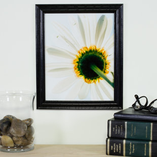 CRAIG FRAMES INC. Solid Ash Picture Frame