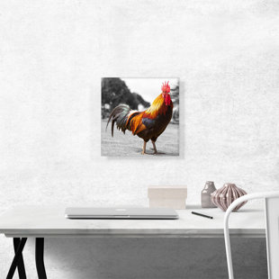 ARTCANVAS Farm Rooster In Yard Framed On Canvas Graphic Art