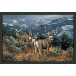 MILLWOOD PINES Junie Indoor Rug