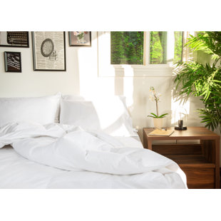 CENTURY HOME FASHION All Season Down Blend Down Comforter