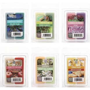 HG GLOBAL Fruity Scented Wax Melt (Set of 6)