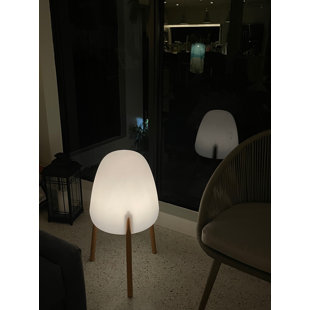 Artkalia Vitaa 18'' Battery Powered Integrated LED Color Changing Outdoor Floor Lamp