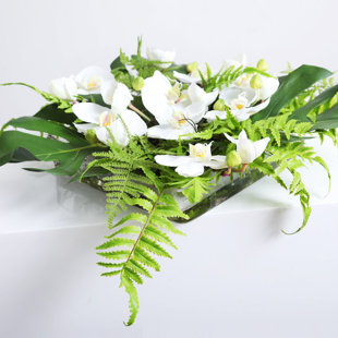 DARBYCREEKTRADING Silk Orchid Arrangement