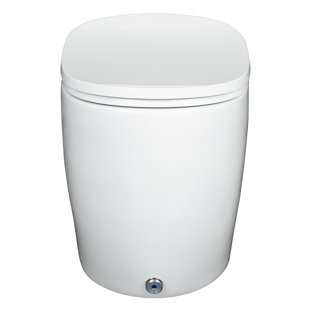 HAZELWOOD HOME Massa 1.28 GPF (Water Efficient) Elongated One-Piece Toilet (Seat Included)