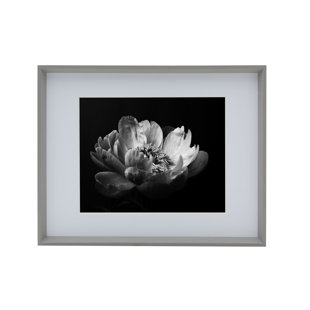 MIKASA Studio Nova Wall Mount Picture Frame