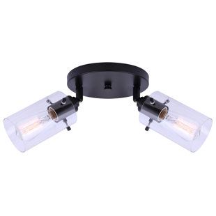 CANARM Joni 12.6'' 2 -Light Rail Track Kit with Dimmable and Adjustable Head