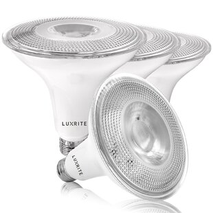 LUXRITE 120 Watt Equivalent PAR38 E26/Medium (Standard) Dimmable LED Bulb (Set of 4)