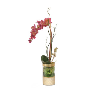 JENNY SILKS Silk Bugundy Phalaenopsis Orchid With Buds, Real Touch Orchid Leaf, Succulent, Curly Willow Flower Arrangement In Round Gold Cylinder Glass Vase