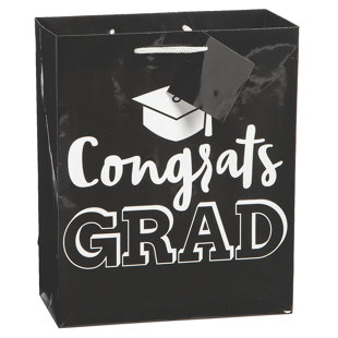 THE PARTY AISLE™ Narron Paper Graduation Gift Bags (Set of 12)