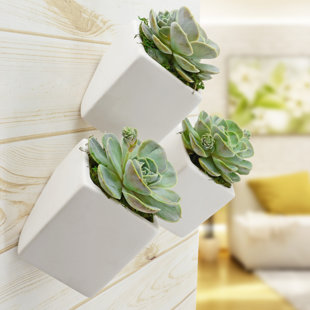 WROUGHT STUDIO™ Ealy Ceramic Wall Planter