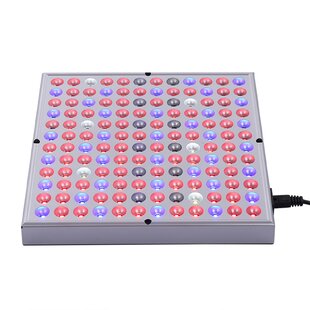 Jwu9 Grow Light