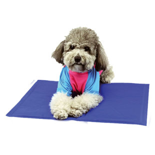 SMASHINGDEALDIRECT Suede Pet Bed