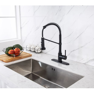 Rainlex Pull Down Kitchen Faucet