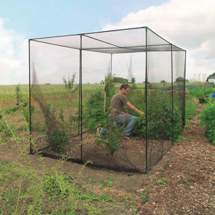 WORLD SOURCE PARTNERS 79.2'' W x 109.2'' D Fruit Cage