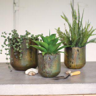 TRENT AUSTIN DESIGN® Dondray 3-Piece Pot Planter Set