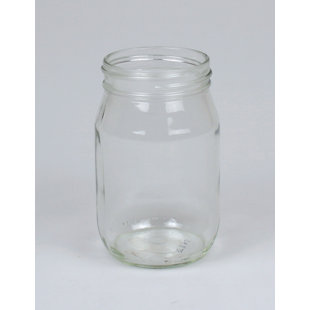 Jodhpuri 12 - Piece 16oz. Glass Mason Jar Glassware Set (Set of 12)