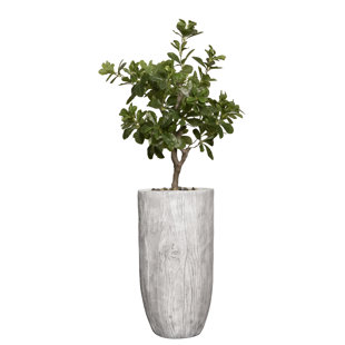 VINTAGE HOME Panama 58" Artificial Ficus Plant in Planter