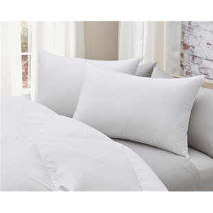 ALWYN HOME Sternberg Cotton Medium Pillow