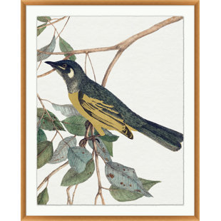 WENDOVER ART GROUP Lillian August " Glistening Bird 2 " by Lillian August Painting Print