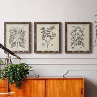 KELLY CLARKSON HOME " Antique Black And White Botanical VII " 3 - Pieces