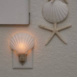THE SEASHELL COMPANY Irish Deep Shell LED Auto Switch Night Light