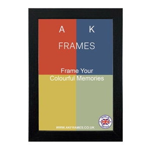 AK FRAMES NDS Picture Frame