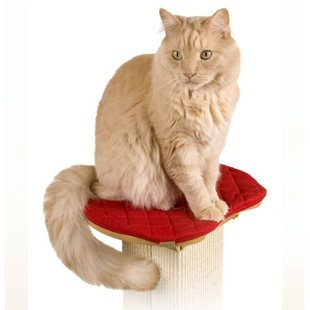 SMARTCAT 2" Ultimate Post Cat Perch