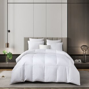 Martha Stewart Cotton White Down Comforter - Light Warmth