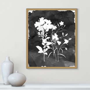 CASA FINE ARTS Black Botanical II by Carol Robinson - Picture Frame Photograph Print on Paper