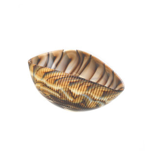 MURANO ART COLLECTION Murano Glass Shell Decorative Bowl