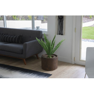VINTAGE HOME Panama 52'' Faux Succulent Plant in Fiberstone Planter
