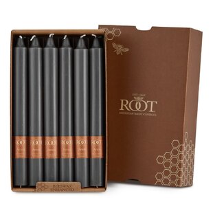 Root Candles Unscented Taper Candle (Set of 12)