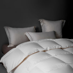 ALWYN HOME All Season Duck Down Comforter