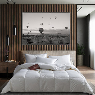 HIGHLAND FEATHER Thionville 625Fill Power 700 Thread Count White Down Cotton Comforter