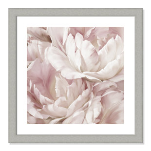 CASA FINE ARTS Intimate Blush IV - Photograph